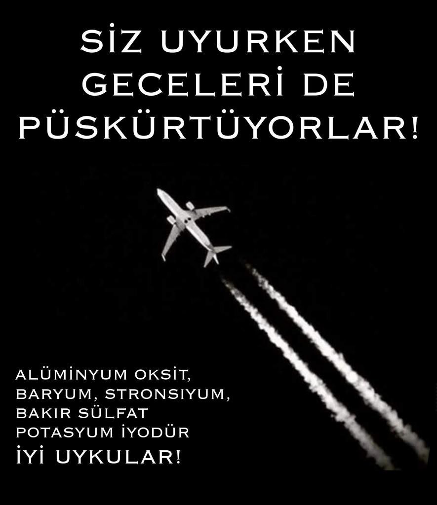 Ajans 𝕏 (@ajansxtr) on Twitter photo 