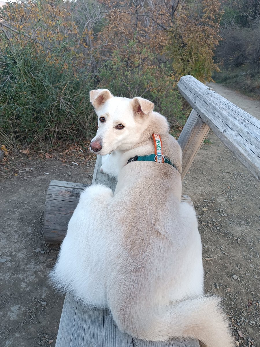 Мама, так правильно сидеть на лавочке?