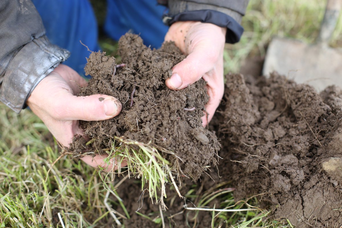 Some pretty awesome jobs coming up on Scottish livestock farms doing some great work on regenerative agriculture. 

Please get in touch if this is something you are interested in and I can point you in the right direction.