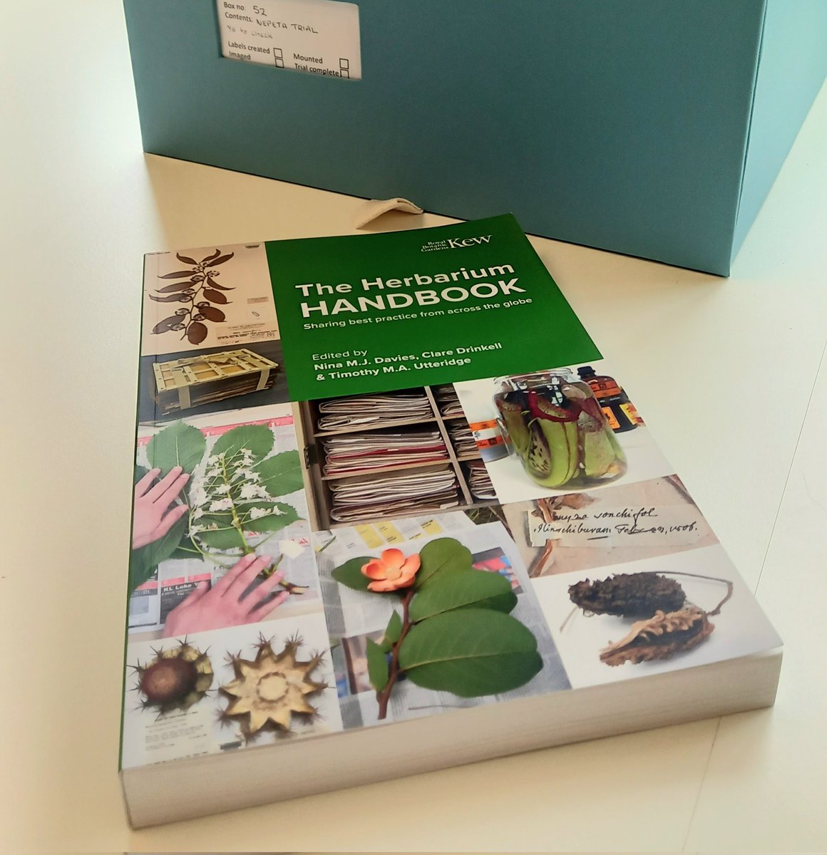 Yvette Harvey (@wsyherbarium) on Twitter photo Just out of the freezer and into the <a href="/The_RHS/">The RHS</a> herbarium. Thank you @Nina_Davies7  <a href="/claredrinkell/">Clare Drinkell</a>  and <a href="/timutteridge/">Dr Timothy Utteridge</a> @KewScience  - a triumph Just out of the freezer and into the <a href="/The_RHS/">The RHS</a> herbarium. Thank you @Nina_Davies7  <a href="/claredrinkell/">Clare Drinkell</a>  and <a href="/timutteridge/">Dr Timothy Utteridge</a> @KewScience  - a triumph