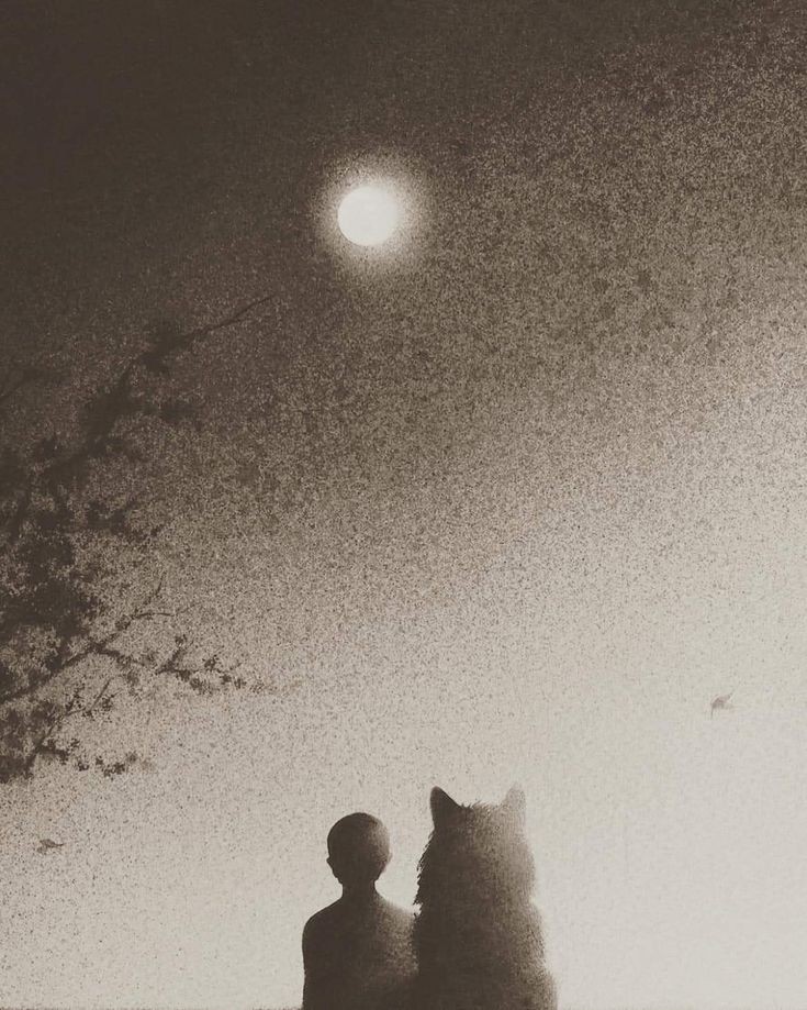 PoesiaAdicto's tweet photo. «Este año no somos la misma persona que el año pasado y la gente que queremos tampoco. Es una suerte que, al cambiar, sigamos amando a una persona cambiada."

–William Somerset Maugham https://t.co/nXb6ic0S8g