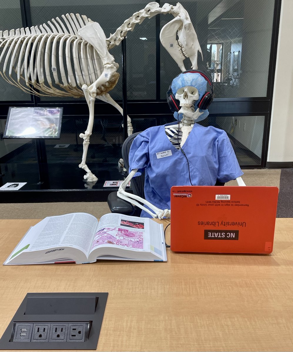 Did you know you can borrow laptops, phone and computer chargers, cameras, calculators, and much more from the library?

Yorick borrows headphones to keep on the straight and marrow with his studies! 💀🎧📚

Visit lib.ncsu.edu/devices to explore our tech lending options.