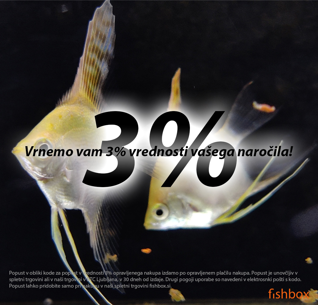 fishbox_si's tweet photo. Še vedno so prav vsi vaši nakupi na https://t.co/7rrP0eP3c6 3% cenejši! 😎🥳 * 3% vrednosti nakupa izdamo kot kodo za popust pri naslednjem nakupu. https://t.co/kNTGChwFGY