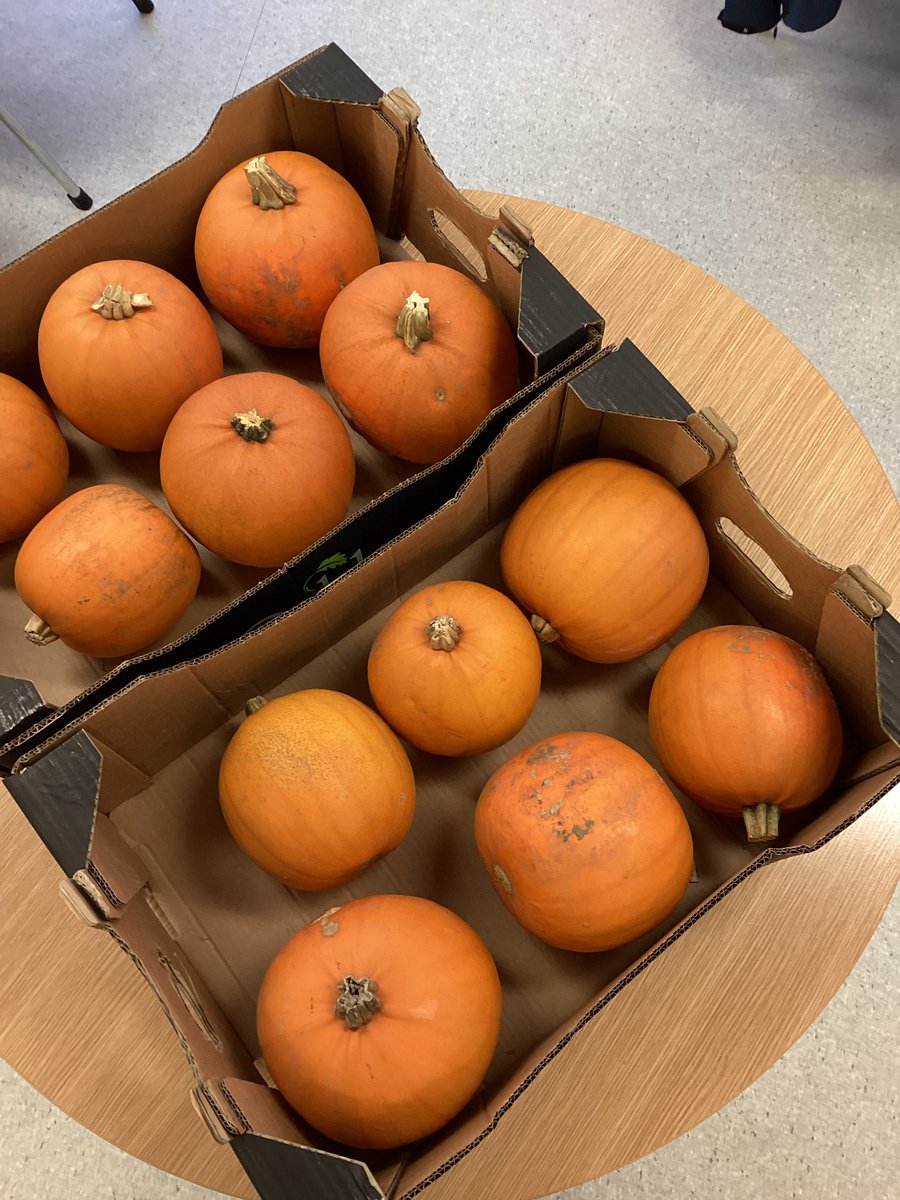 Sunderland College tweet media