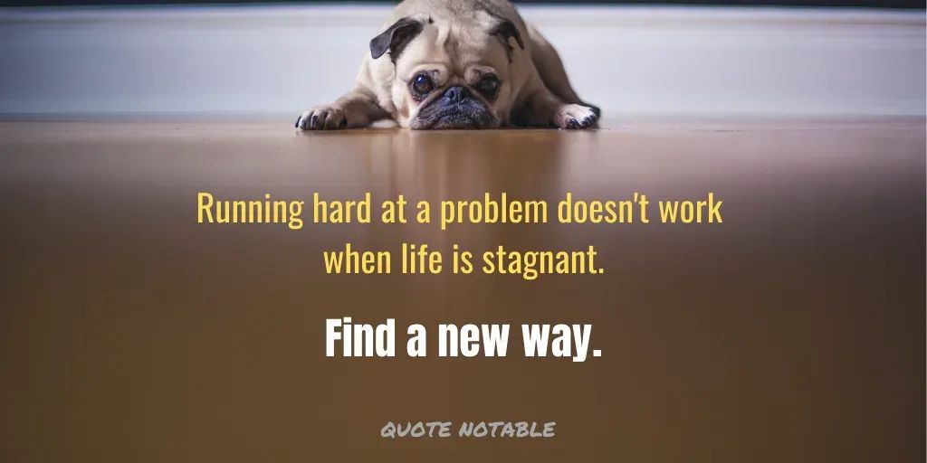 Paul Geiger 📣 Public Speaking Advantage (PSA)🎙 tweet media