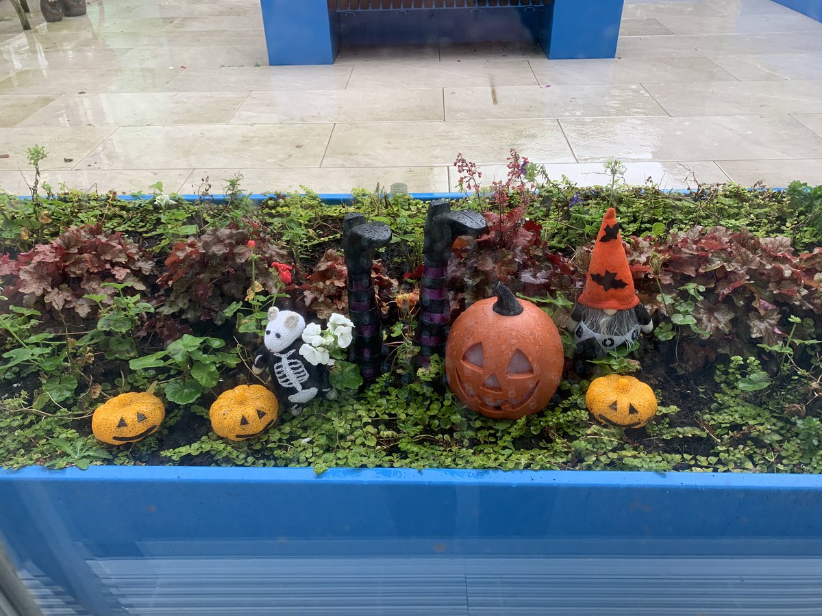 It’s Halloween in our Critical Care garden! 🎃🦇👻#Halloween #CriticalCare #Rehabilitation