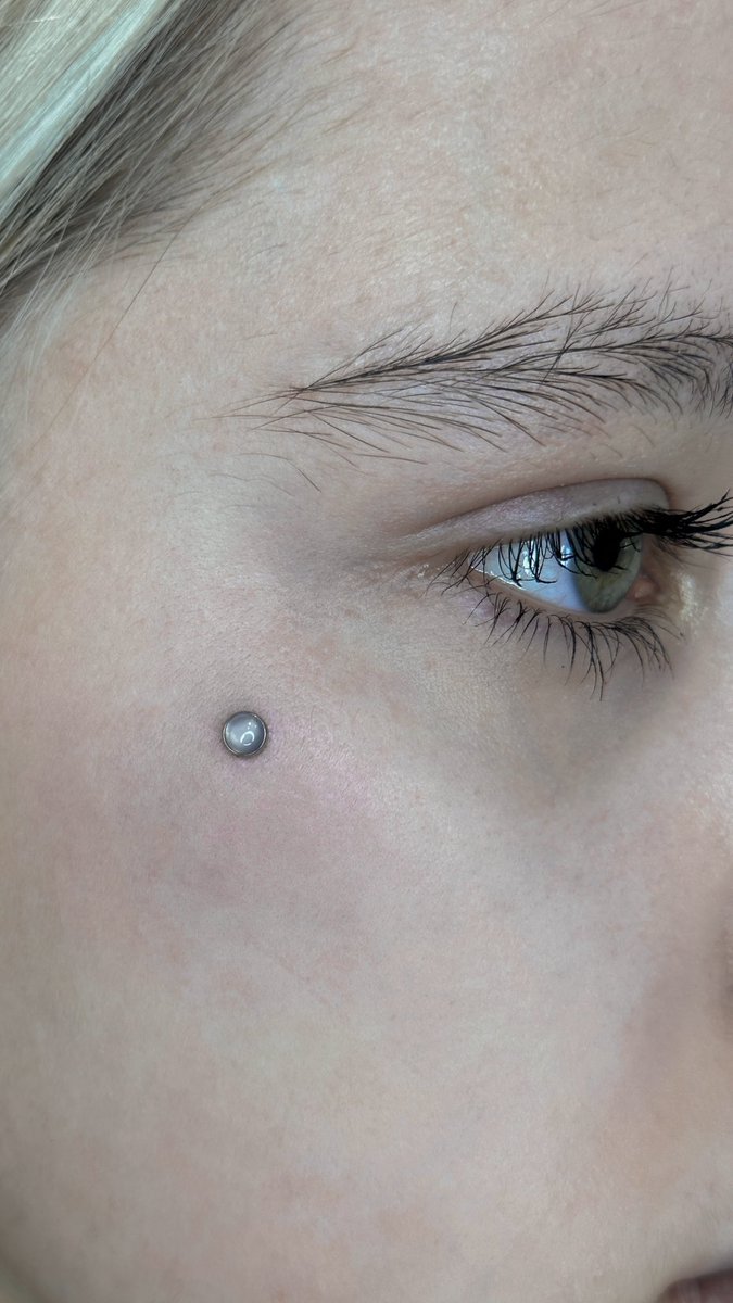 KilljoyPretty's tweet image. Считаю своим долгом напомнить всем, что я в Питере делаю технические отверстия для красоты и помогаю заживить раны с инородными предметами

Мой рабочий профиль в инсте @pretty_piercing.spb и я буду очень благодарна за репосты. Здесь в дм тоже можно писать по теме моей работы 🌚