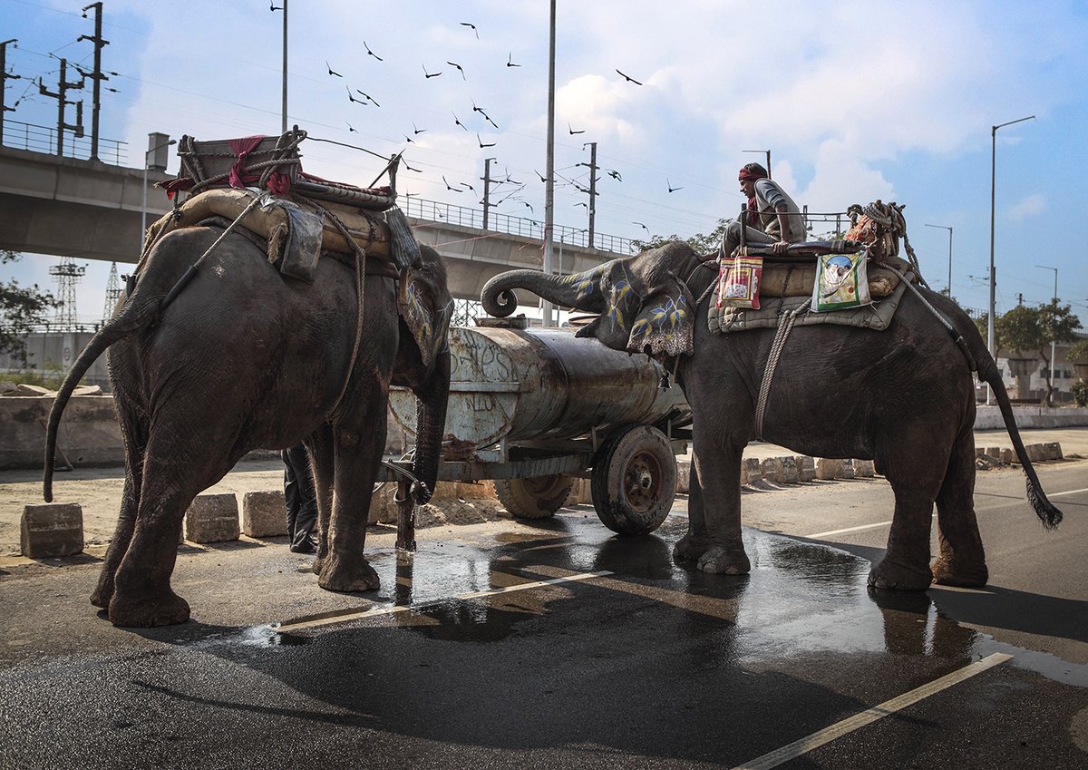 Akash Das tweet media