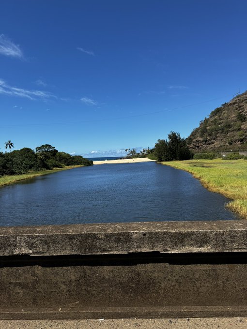 🩵 https://t.co/AvpitBYOzR