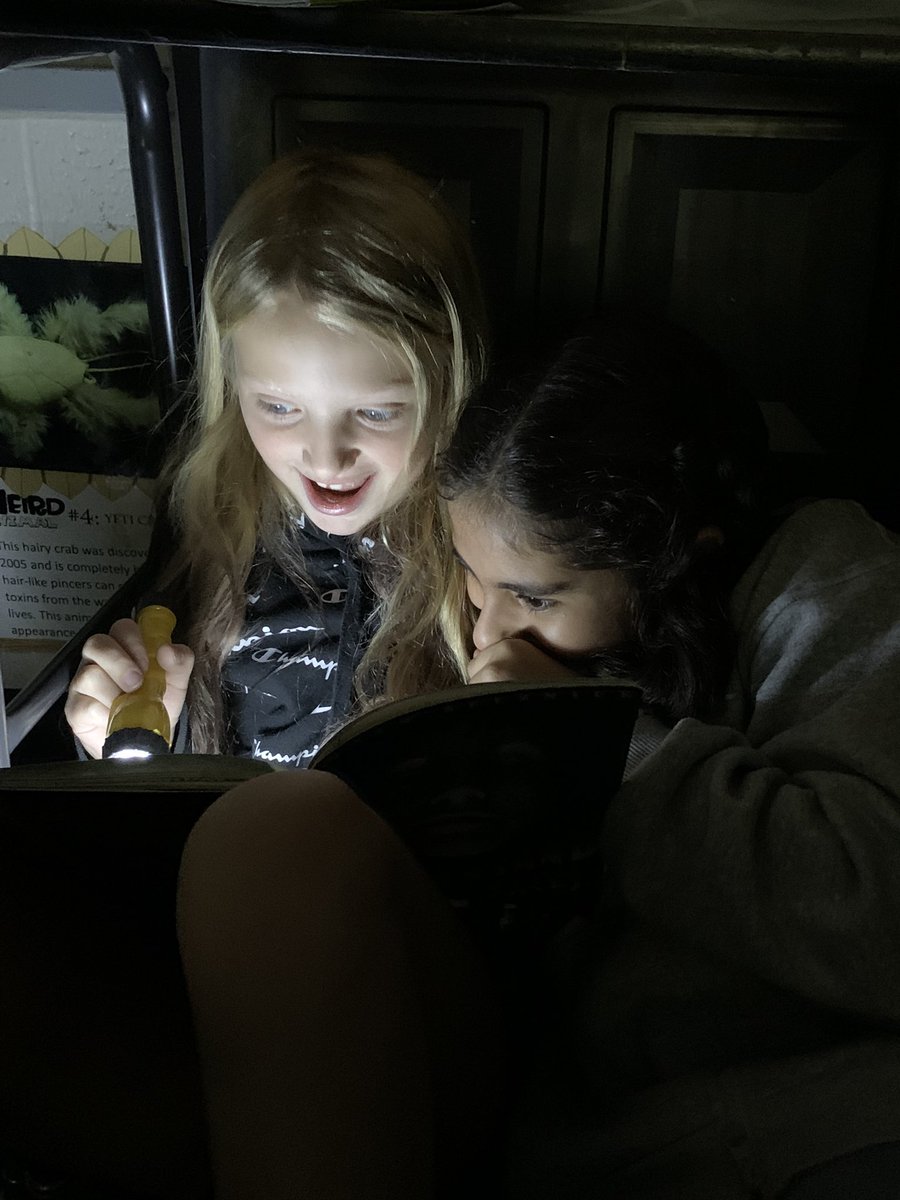 MrJacksonsWorld's tweet photo. Tis the season for some spooky stories by flashlight! #fourthgrade https://t.co/MJ7fRXXIdN