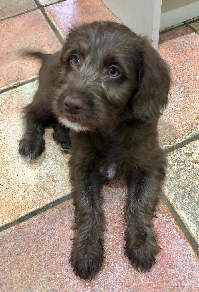 Tim Jones tweet media