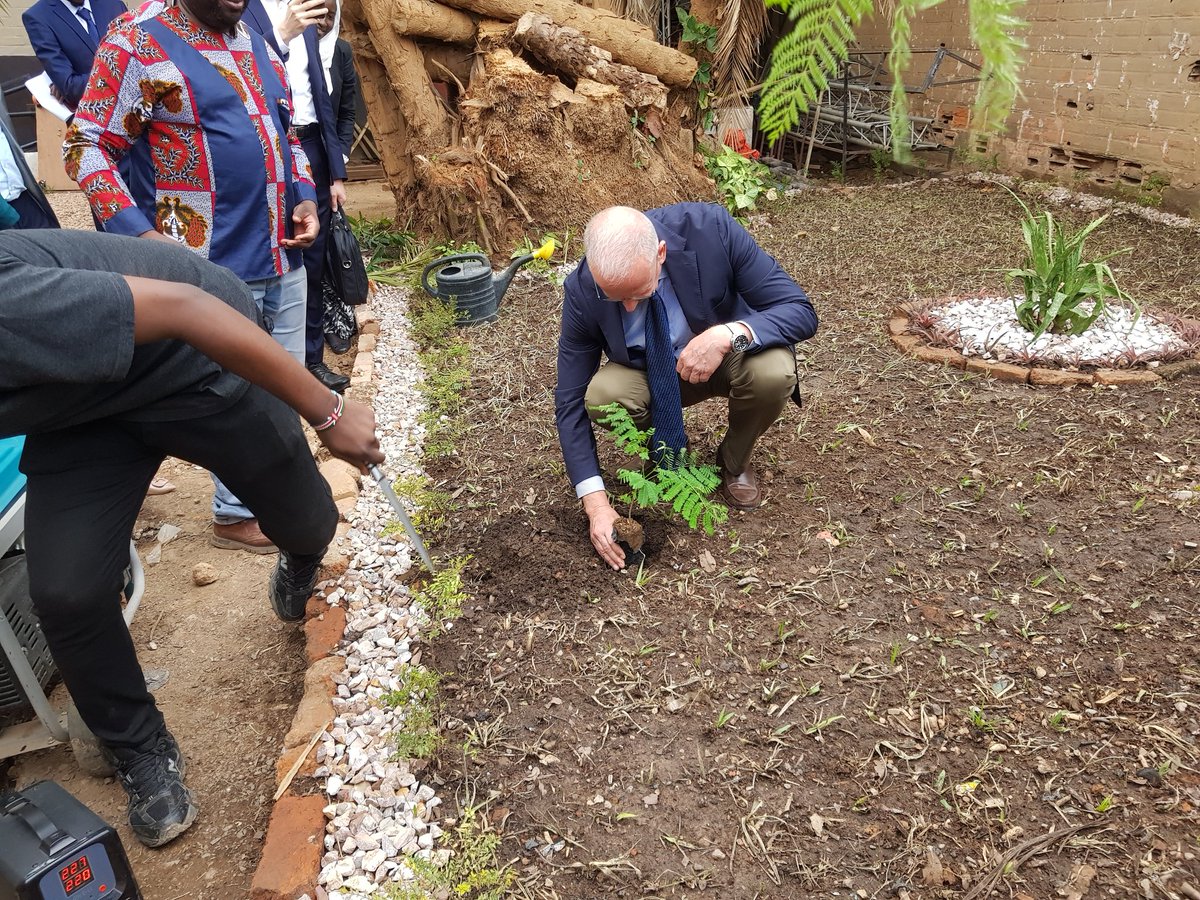 centredartwaza's tweet photo. #Bustani Deux arbres plantés au centre d'art Waza, par Ingo Herbert et Immaculée Bagabe, en signe de paix et démocratie.

#Lubumbashi https://t.co/ZBqvX4jhQi