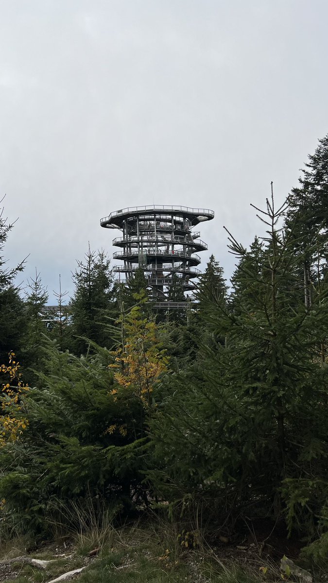 Der #Waldwipfelweg in St. Englmar ist auf jeden Fall ein Besuch wert. Auf 55m Höhe ist ein wunderbarer Ausblick zu genießen. Sehr löblich, es gibt hier auch vier Ladestellen für Elektroautos. #PiratOnTour #te33e #BayrischerWald