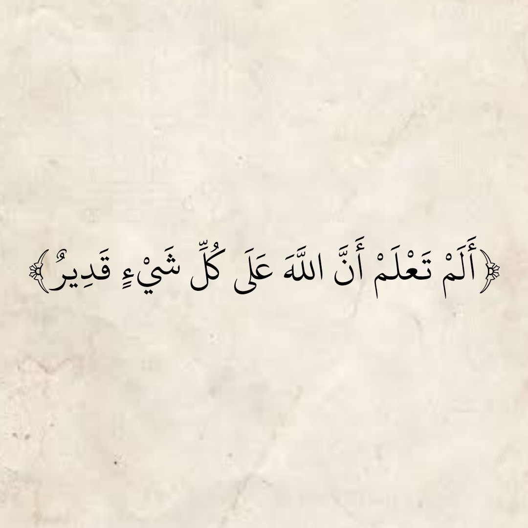 For Mohamed Tarek (@formohamedtarek) on Twitter photo 