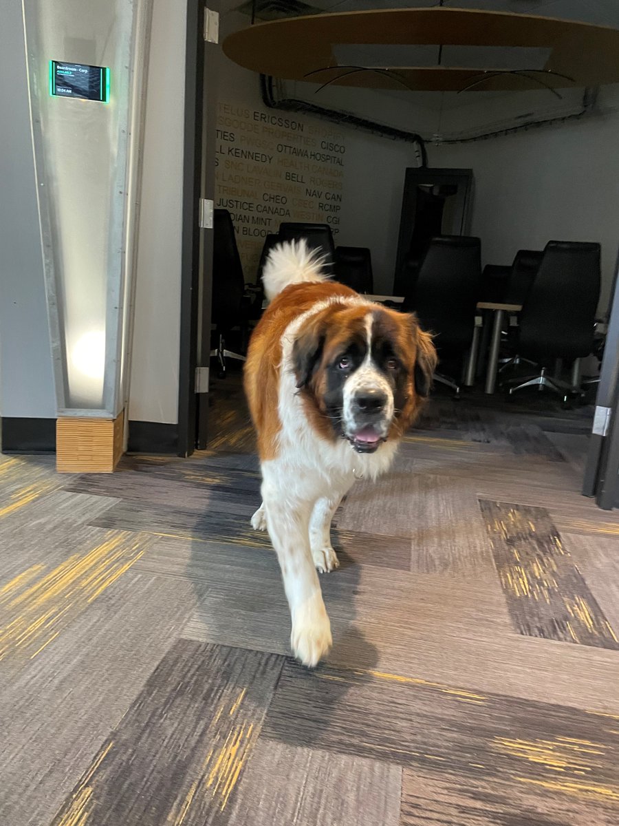 Great unexpected visit from Hannah this morning, perfect kickoff for the week!