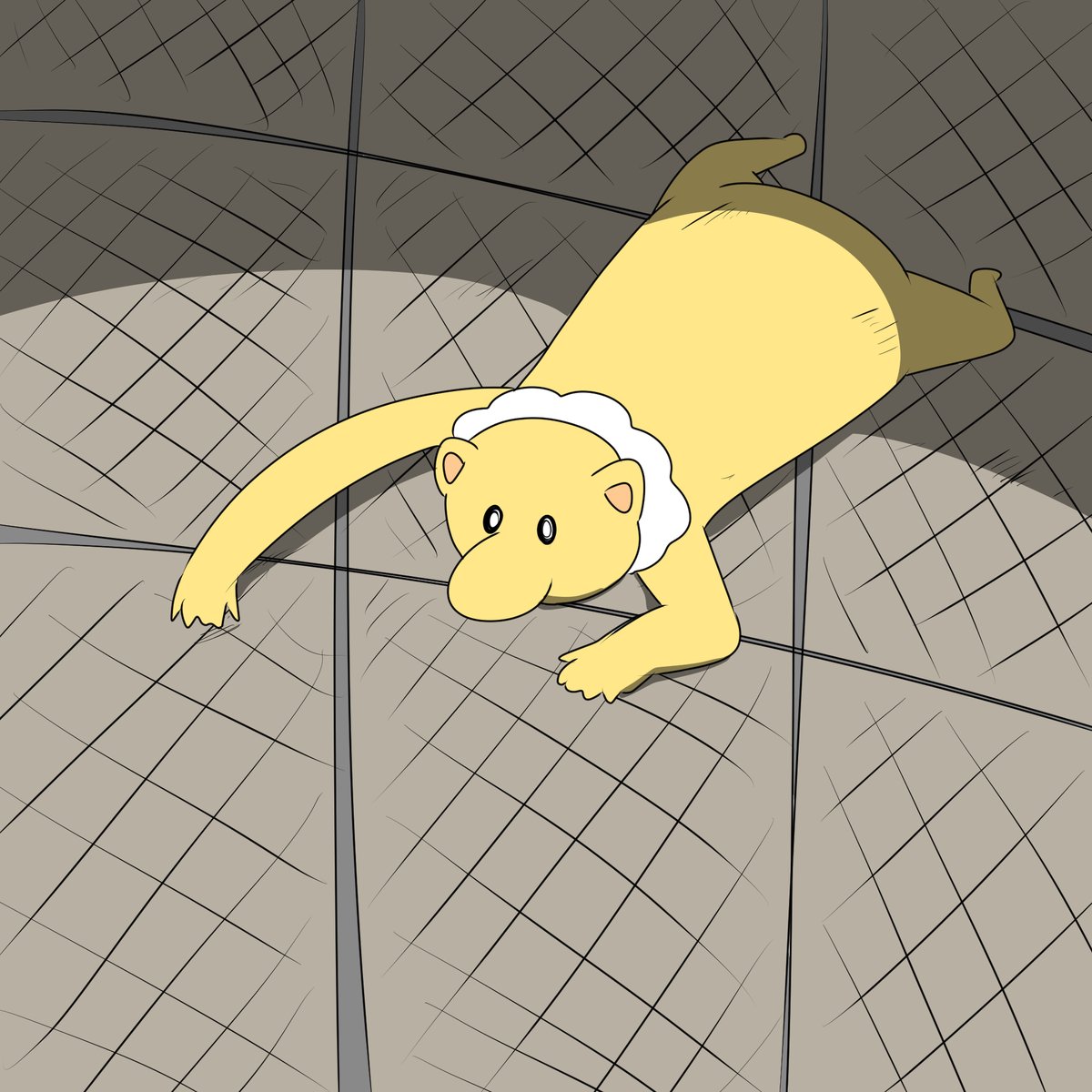 no humans tile floor tiles solo meme lying animal focus  illustration images