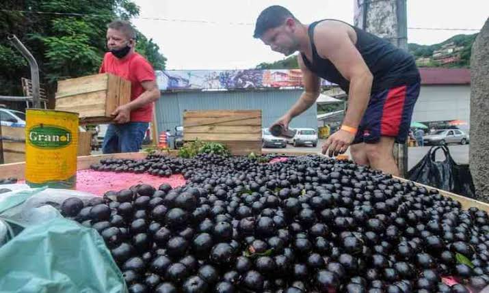 BHeMeupais's tweet photo. De 17 a 19 de novembro acontece a 37ª edição do Festival da Jabuticaba em Sabará-MG, que, a quem não sabe, é conhecida como a cidade da Jabuticaba, tendo o festival tombado como patrimônio cultural. O evento, que é gratuito, conta com venda da fruta, produtos derivados, pratos típicos, além de diversas apresentações com música ao vivo e dança. 
Acontece na Praça Melo Viana, no centro da cidade. Os horários ainda não foram confirmados