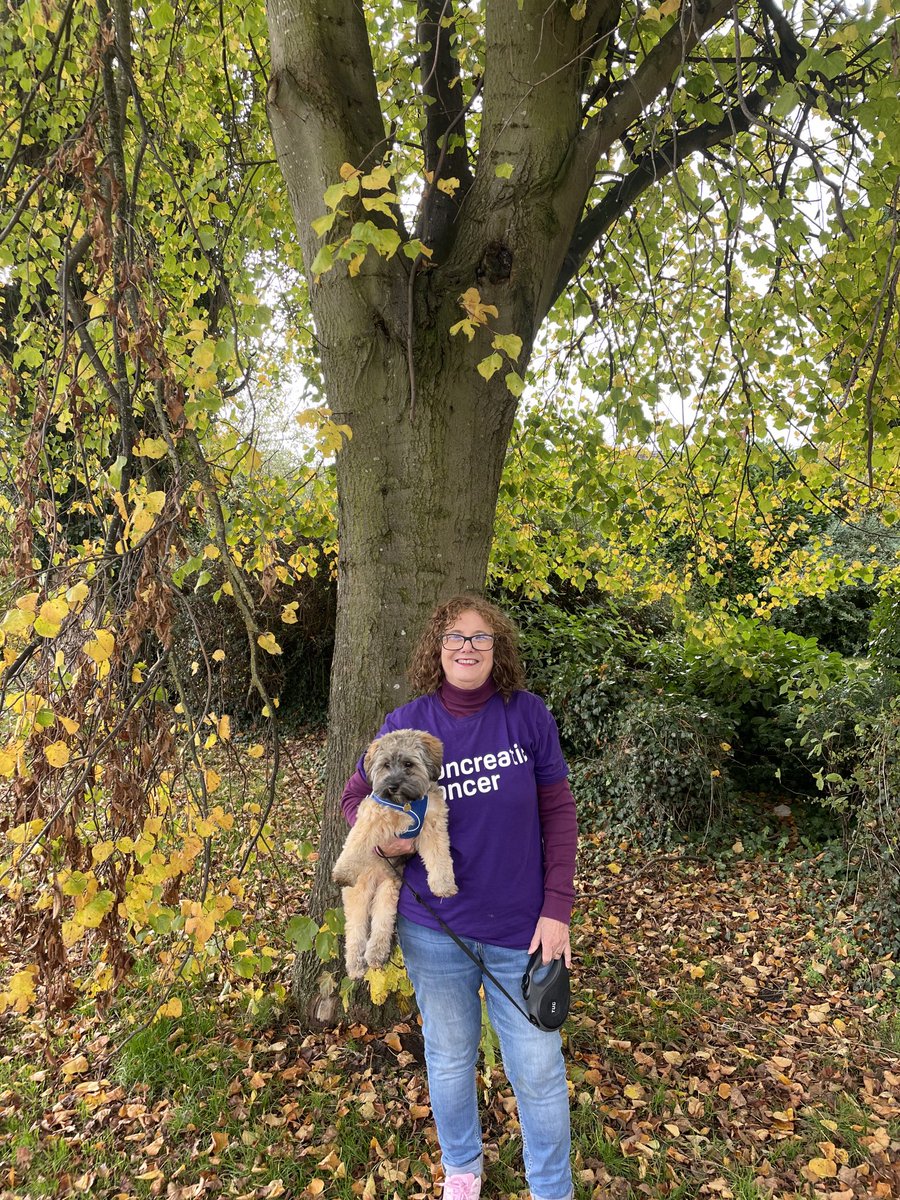 lovebeingagran's tweet photo. Challenge day 30 -Autumnal penultimate day walking for ⁦@PancreaticCanUK⁩ https://t.co/hjt7MED8We