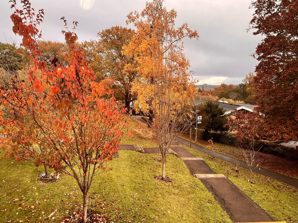 Education Studies Winchester tweet media