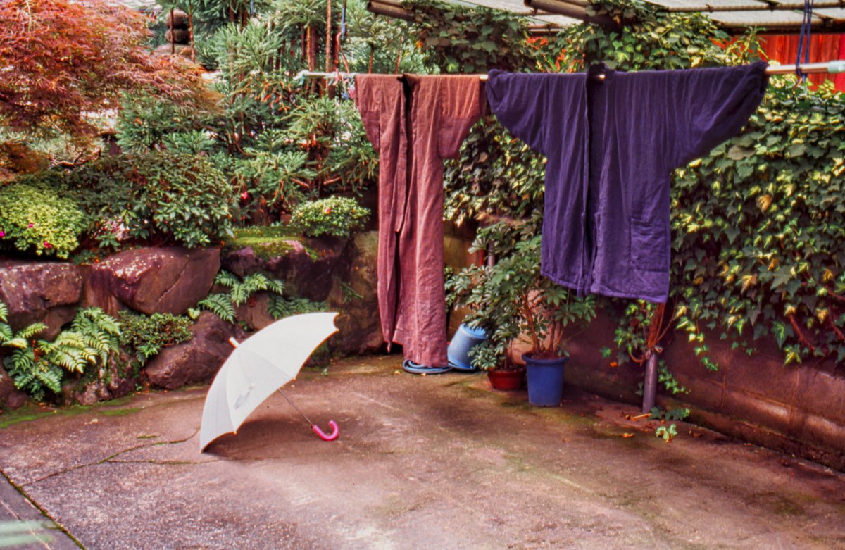 The Ilanot Review (@ilanot_review) on Twitter photo Our front cover photo is by <a href="/willy_conley/">Willy Conley</a>, and our back cover is by <a href="/jasonbentsman/">Jason Bentsman</a>
ilanotreview.com/parents-poetry… Our front cover photo is by <a href="/willy_conley/">Willy Conley</a>, and our back cover is by <a href="/jasonbentsman/">Jason Bentsman</a>
ilanotreview.com/parents-poetry…