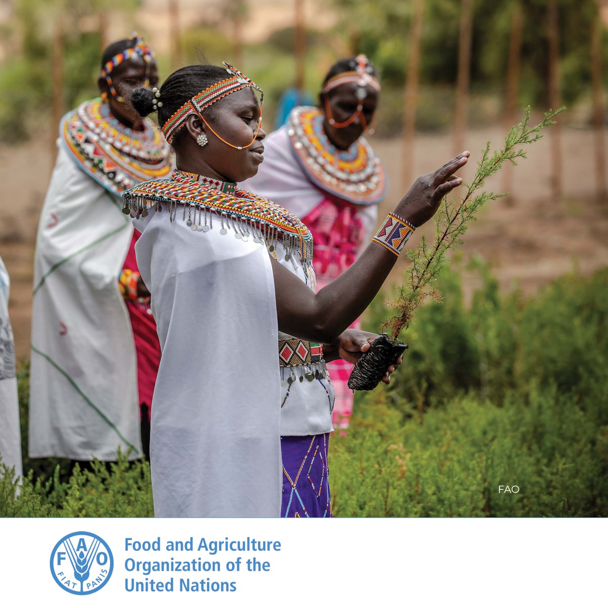 Did you know that 36% of agrifood workers worldwide are women? Yet, #RuralWomen earn nearly 20% less than men and have reduced access to land, credit, technology, and information. This has to change. #LetsGrowEquality!