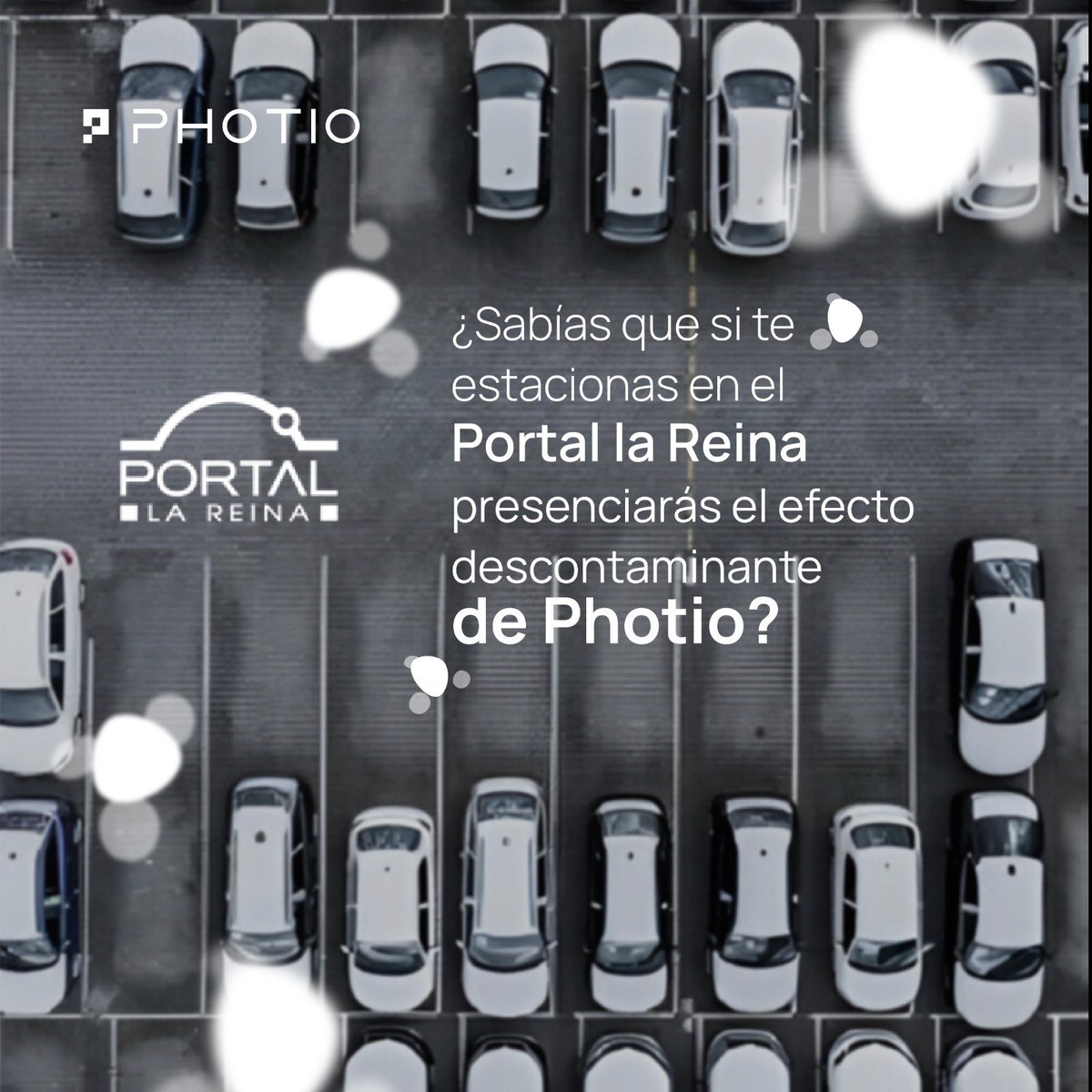 PhotioCL's tweet photo. Alianzas que nos enorgullecen 🤟🌱 #PortalLaReina https://t.co/jhHPQB6Fx8