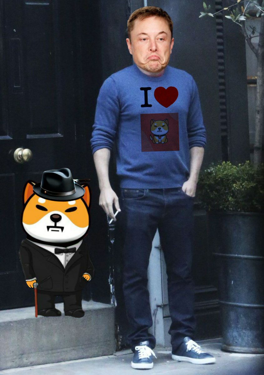 Baby Shiba Inu tweet media