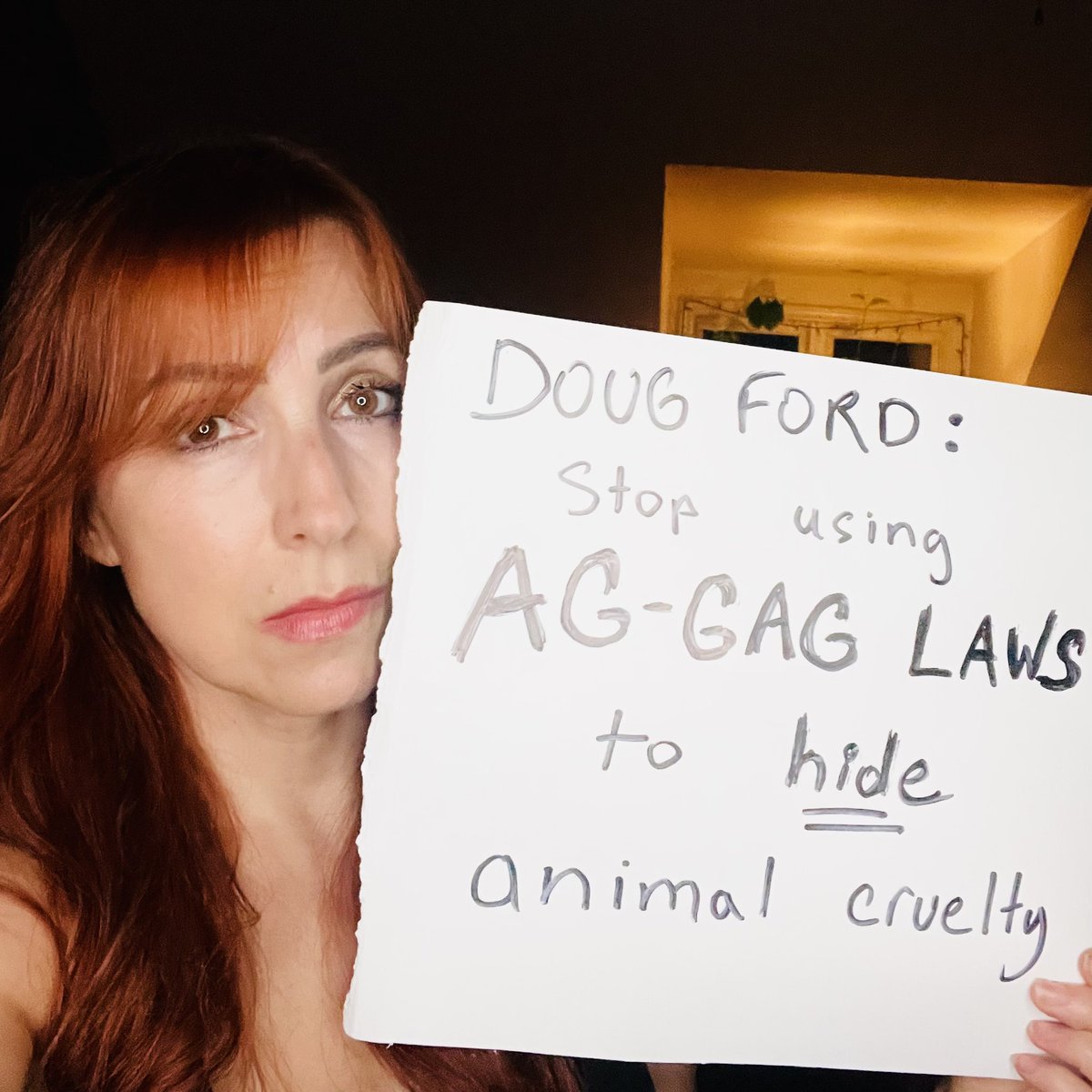Today Animal Justice is going up against the Ford Government in a court battle over the province’s shocking AG-GAG law.

This draconian law was designed to cover up animal cruelty in the ag industry.

#StopAgGagLaws