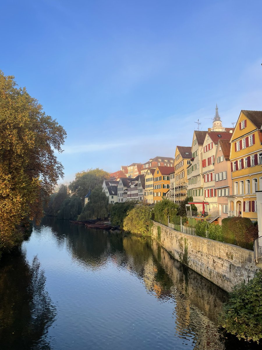 Happy to present our work today at the Thalamus Anatomy and Connectomics Conference in Tübingen! 🧠 🔗 tuebingen.mpg.de/thalamus Took this beautiful picture this morning 🍂