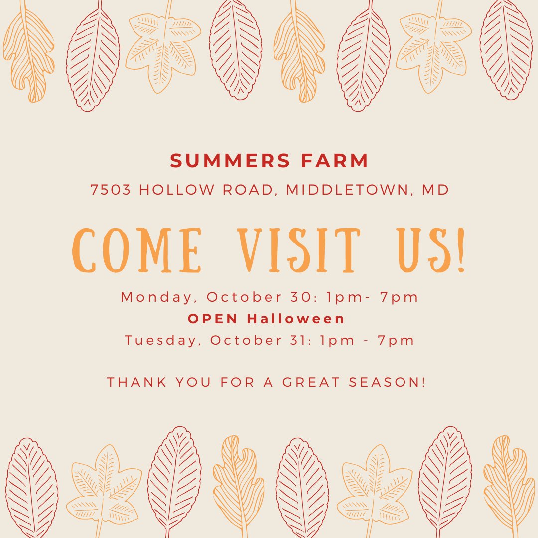 SummersFarm's tweet image. Last two days of our 2023 season! Come see us today or tomorrow from 1pm to 7pm! We will be open on Halloween! Last wagon ride to the pumpkin patch is at 6pm! We still have pumpkins waiting for you! Wagon rides are always free, just pay for the pumpkins you pick!