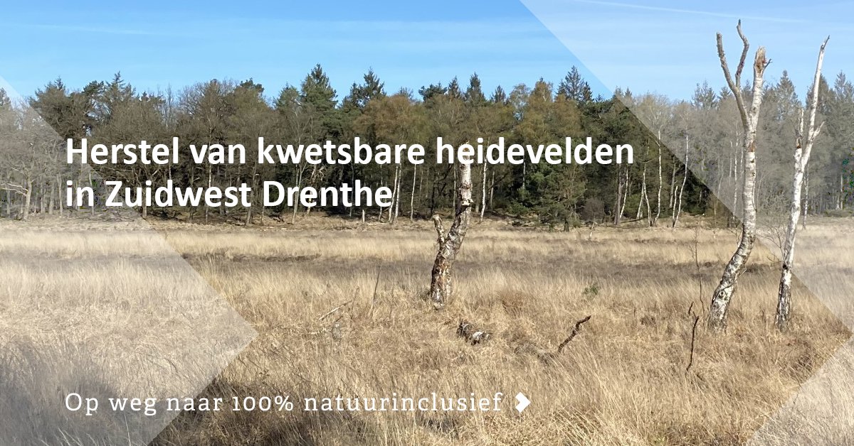 Samen met beheerder Natuurmonumenten werken we aan het herstellen van  kwetsbare heidevelden in Zuidwest Drenthe. Lees erover op onze website: ow.ly/213X50Q24cb

#Eelerwoude #opwegnaar #100procent #natuurinclusief #natuurherstel