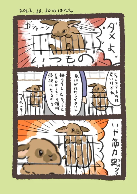 普通できひんやんそんなん

#うさぎのいる生活 