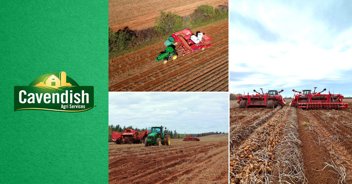 Harvest season has been going strong in Atlantic Canada! We're thankful for the hard work and dedication of our growers and cheering them on in the homestretch. 
#harvest23 #eastcoastfarming #agriculture