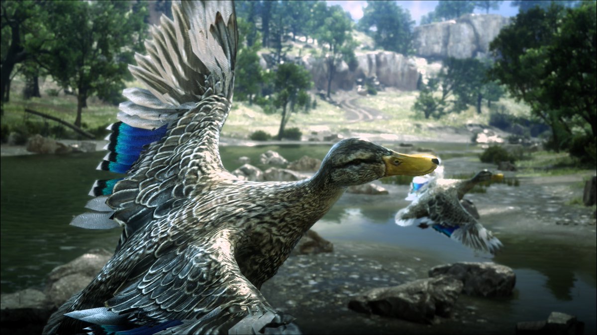 River wildlife 🦆📸

#RedDeadRedemption2 #AnimalMonday #PhotoModeMonday #VirtualPhotography #ThePhotoMode #VGPNetwork #GGVP