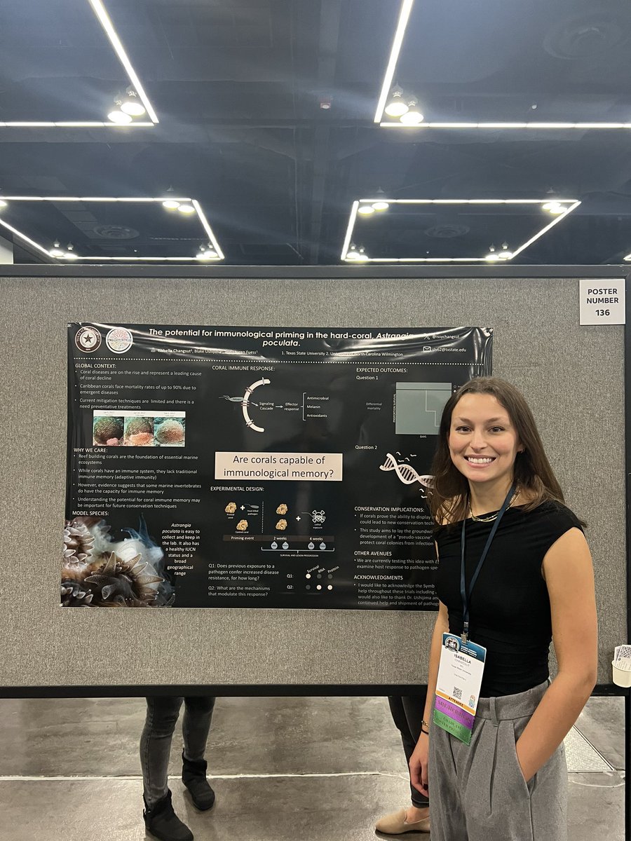 Isabella Changsut tweet media