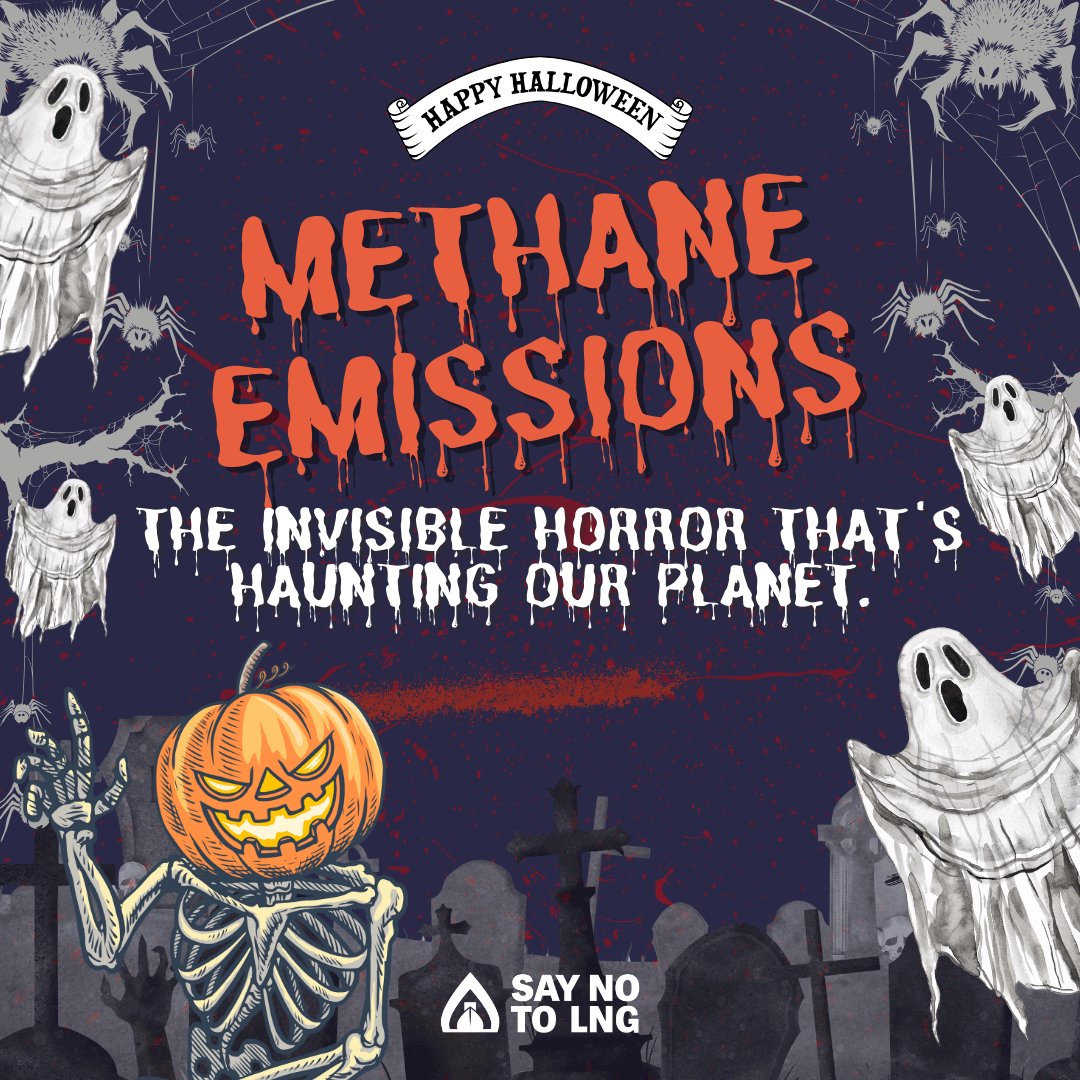 CleanArctic's tweet photo. 🎃👻☠️💀 LNG-Powered #Shipping: A Nightmare for #Arctic Ecosystems @Sian_Prior9 @SayNoToLNG 
https://t.co/hznwW1V3dR https://t.co/lCSEY4cnVs