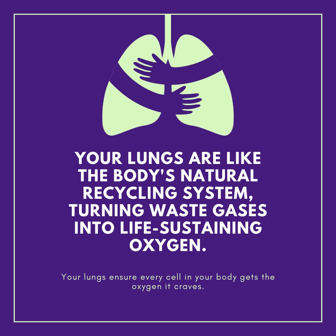 In honor of #HealthyLungMonth, let's take a deep breath and celebrate these incredible organs that keep us going strong. Take a moment to appreciate the incredible work your lungs do every day. #LungHealthMatters