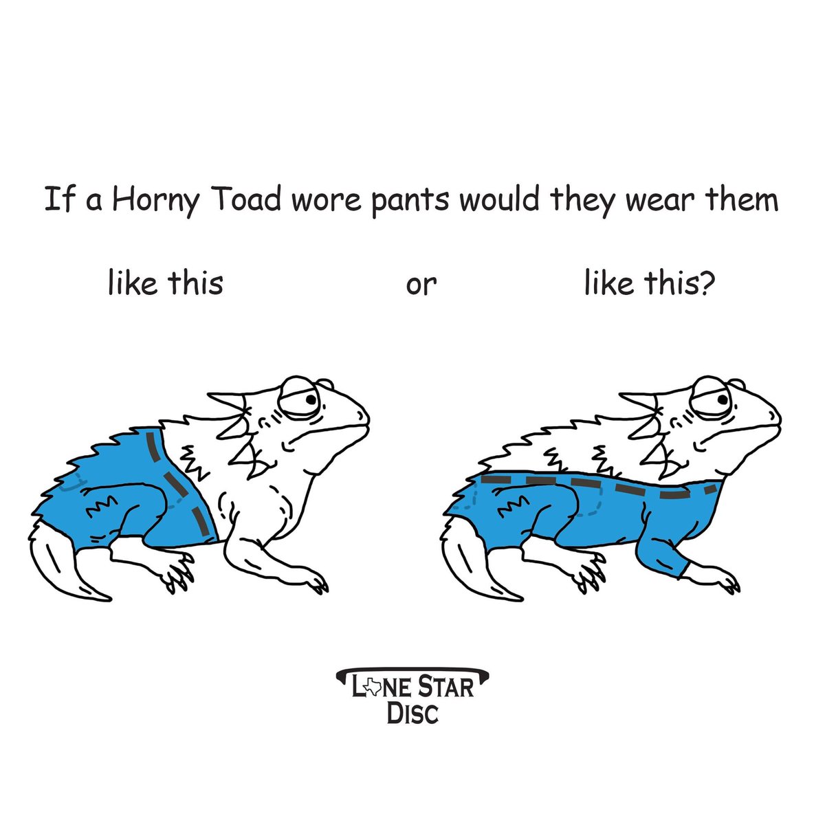 Lone Star Disc tweet media