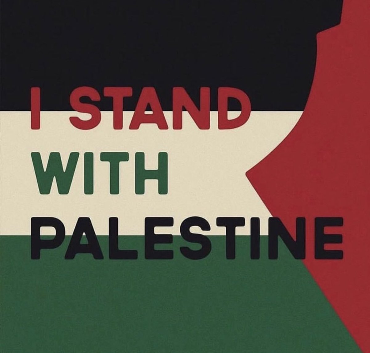 If you are Jewish or non muslim and standing for justice in Gaza,

We are more brothers and sisters than Muslims hiding in silence on Gaza.

We need your voice.

More than ever. 

#freepalestine