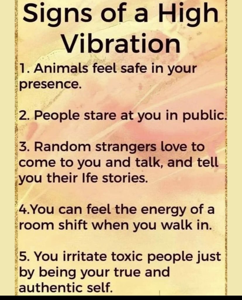 Thislilbirdies1's tweet image. #highvibes