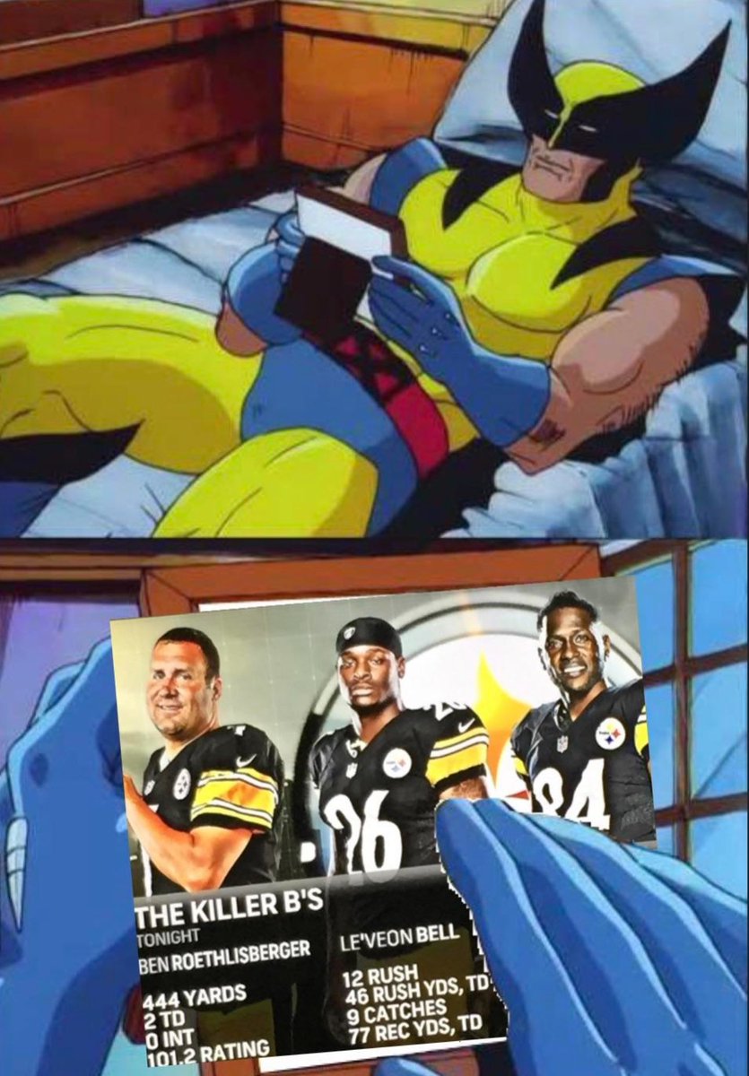 Blitz_Burgh's tweet photo. Accurate. #Steelers #NFL https://t.co/yRiIdLXtal