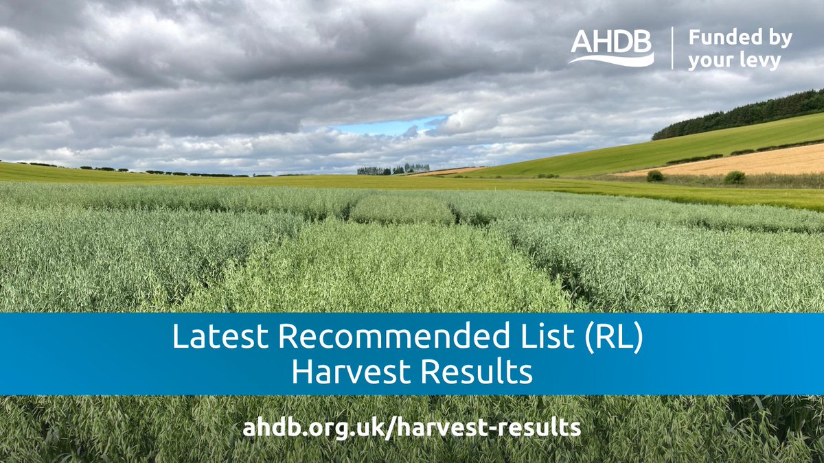AHDB_Cereals's tweet photo. Spring oat #RecommendedList Harvest Results are complete, with yields above average, but late trials have suffered from wet conditions, with lodging and sprouting in some trials.

Access full trial results via the AHDB website ➡ https://t.co/D1h6Yb08hF https://t.co/t4YN98Rdpy