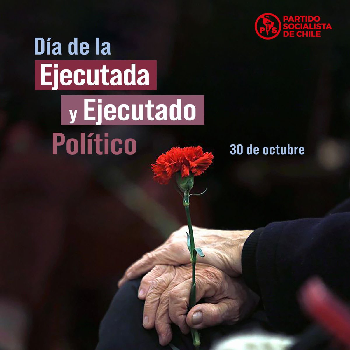 Hoy rendimos homenaje a las y los ejecutados políticos, quienes dieron su vida por recuperar nuestra democracia. Hoy levantamos la voz, para que nunca más en nuestro país se tome la vida de otro por pensar distinto.