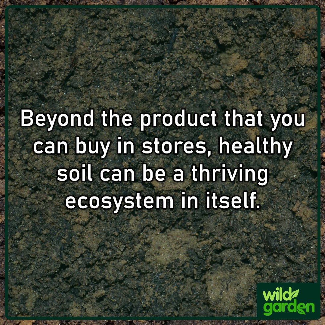WildGardenEarth's tweet photo. Are you a gardener eager to make a difference for biodiversity, but don't know where to start?

This week's blog post will let you know how the solution may be closer than you think!

Read here: https://t.co/uCDZjB3cuK

#nature #garden  #rewilding #backyardbiodiversity https://t.co/JgECHfTaeh
