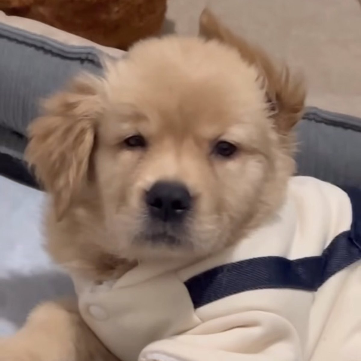 บี๋ทำอะไรเสียงดัง ง่วงแลวเนี่ย