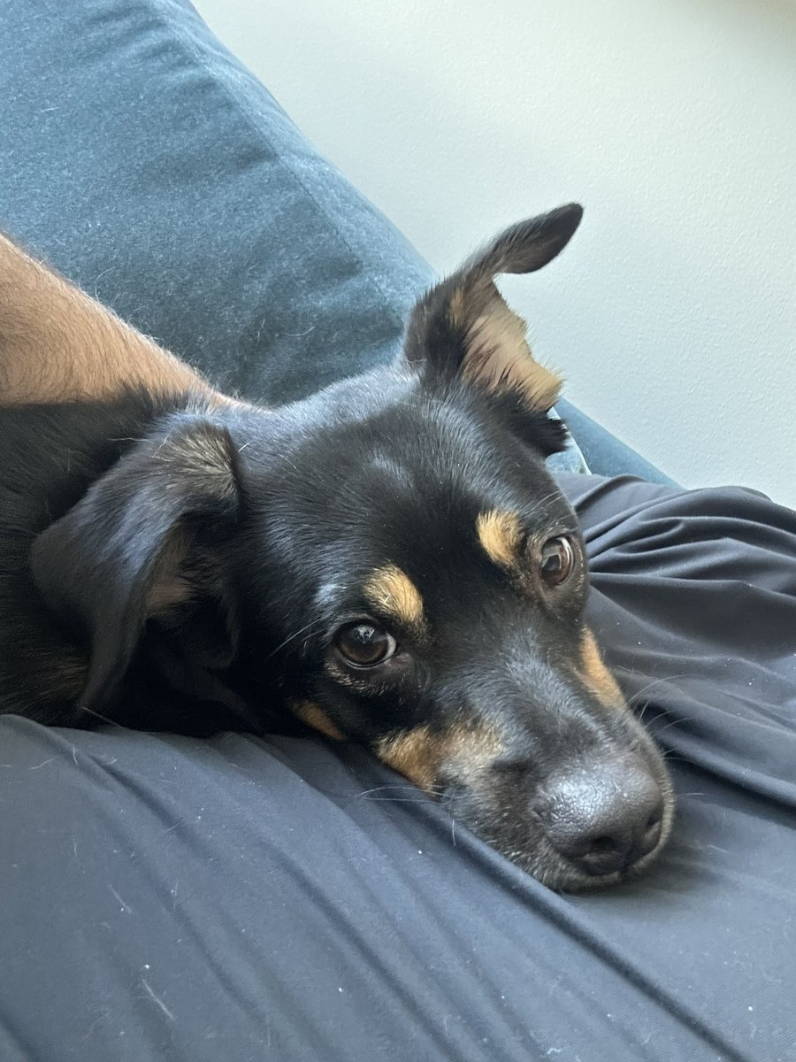 Andrew Silver tweet media