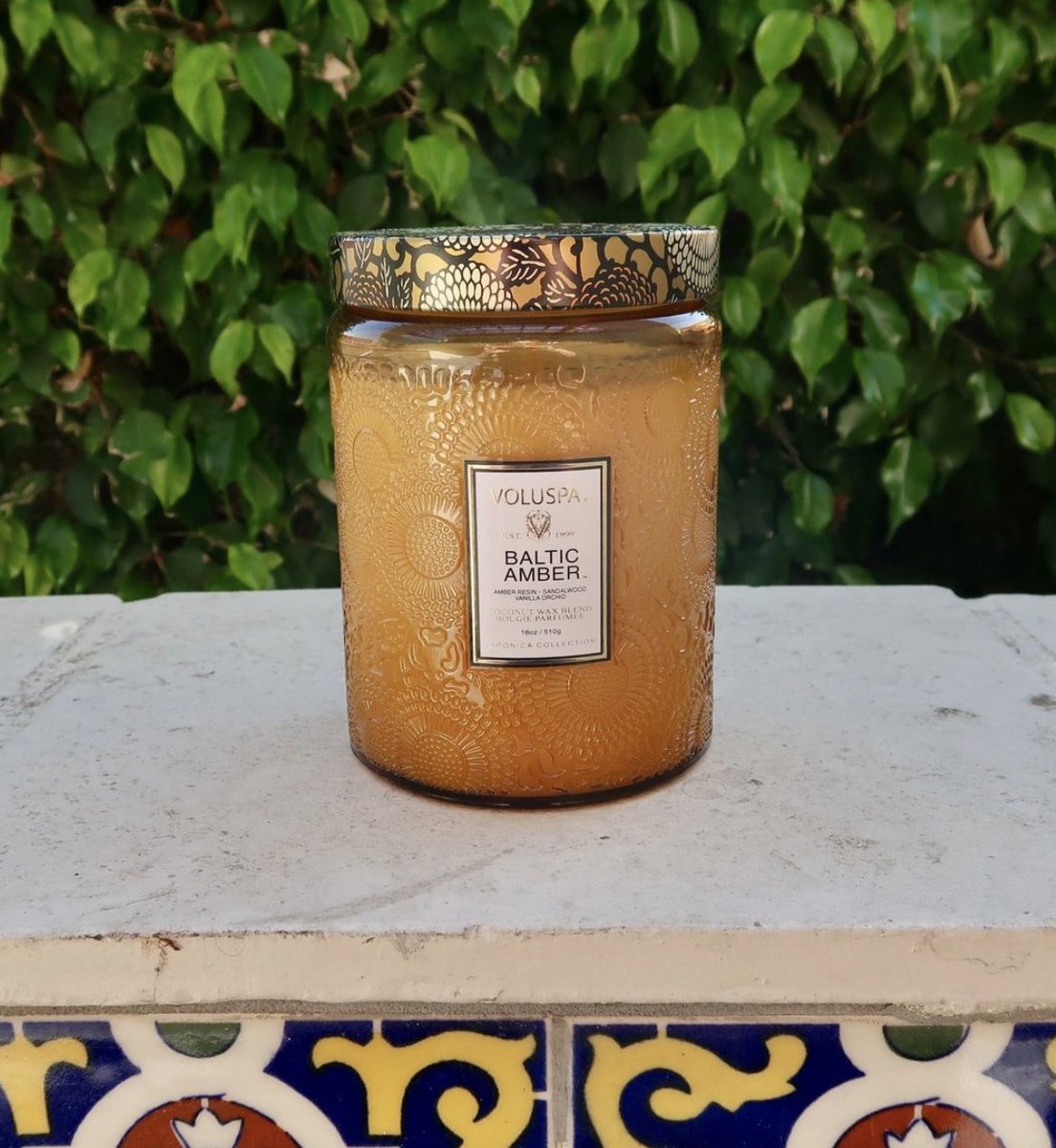 Remedyskinbody's tweet photo. Kindle the autumnal ambiance with the alluring Baltic Amber candle by Voluspa. Experience the soothing embrace of honeyed Amber, the comforting notes of velvety Woods, and the aroma of smoldering Vanilla Orchid. Let Baltic Amber create the perfect mood for Halloween. 🍂🎃 https://t.co/oAlpXjv8Cg