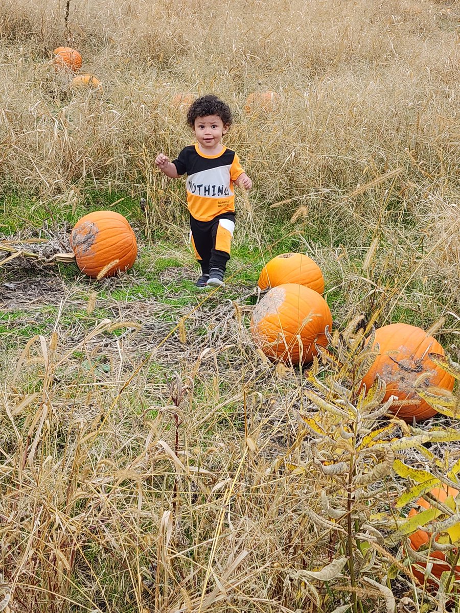 Heidi Marciniak (@heidimarciniak) on Twitter photo Positive Parent Child Interactions at its best! Some of our families enrolled in our Portage County Parents As Teachers Help Me Grow program got to enjoy Rufener Hilltop Farm last Friday! <a href="/tracihostetler/">Dr. Traci Hostetler</a> <a href="/CMHanysh02/">Christine H</a> <a href="/KimMonachino/">Kim Monachino</a> <a href="/esceasternohio/">Educational Service Center of Eastern Ohio</a> <a href="/HMGNational/">Help Me Grow National Center</a> <a href="/NatlPAT/">Parents as Teachers®</a> Positive Parent Child Interactions at its best! Some of our families enrolled in our Portage County Parents As Teachers Help Me Grow program got to enjoy Rufener Hilltop Farm last Friday! <a href="/tracihostetler/">Dr. Traci Hostetler</a> <a href="/CMHanysh02/">Christine H</a> <a href="/KimMonachino/">Kim Monachino</a> <a href="/esceasternohio/">Educational Service Center of Eastern Ohio</a> <a href="/HMGNational/">Help Me Grow National Center</a> <a href="/NatlPAT/">Parents as Teachers®</a>