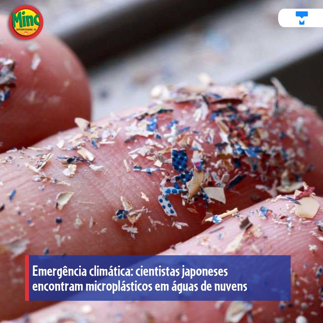 Carlos Minc tweet media