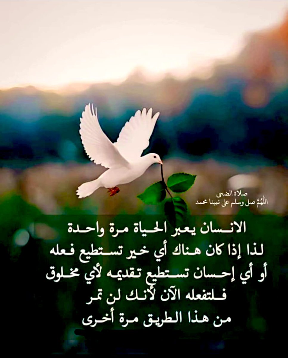 M (@nmmmmkkk) on Twitter photo 